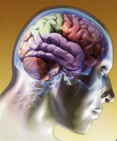 Imagen de cerebro humano
